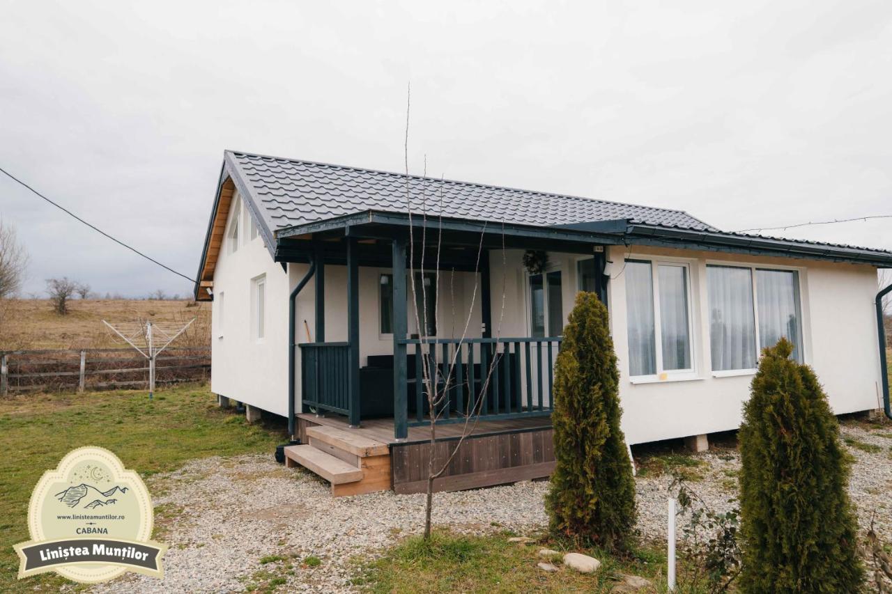 Linistea Muntilor Chalet Porumbacu de Sus Exterior photo