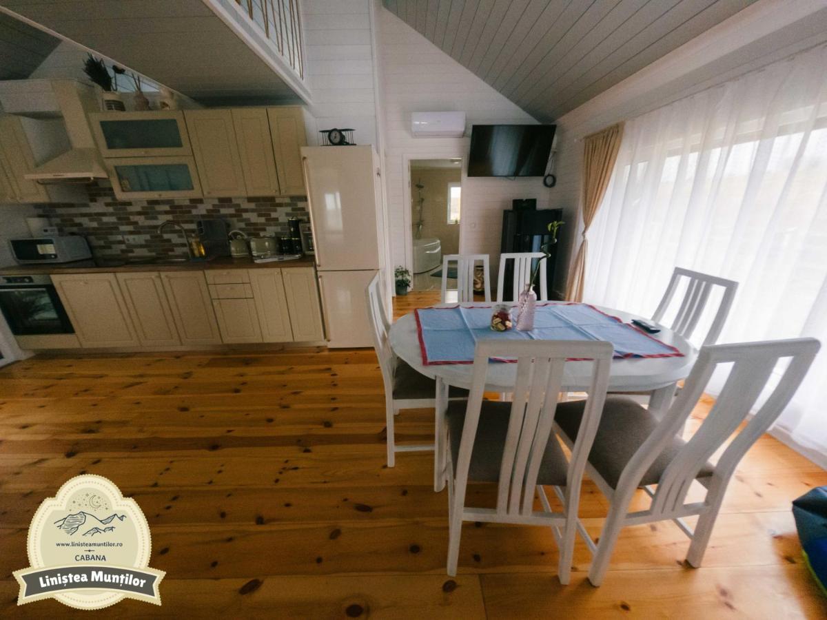 Linistea Muntilor Chalet Porumbacu de Sus Exterior photo