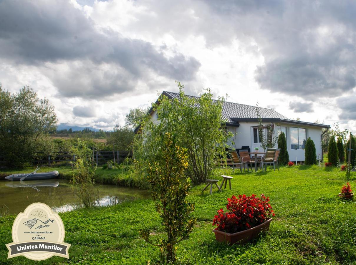 Linistea Muntilor Chalet Porumbacu de Sus Exterior photo