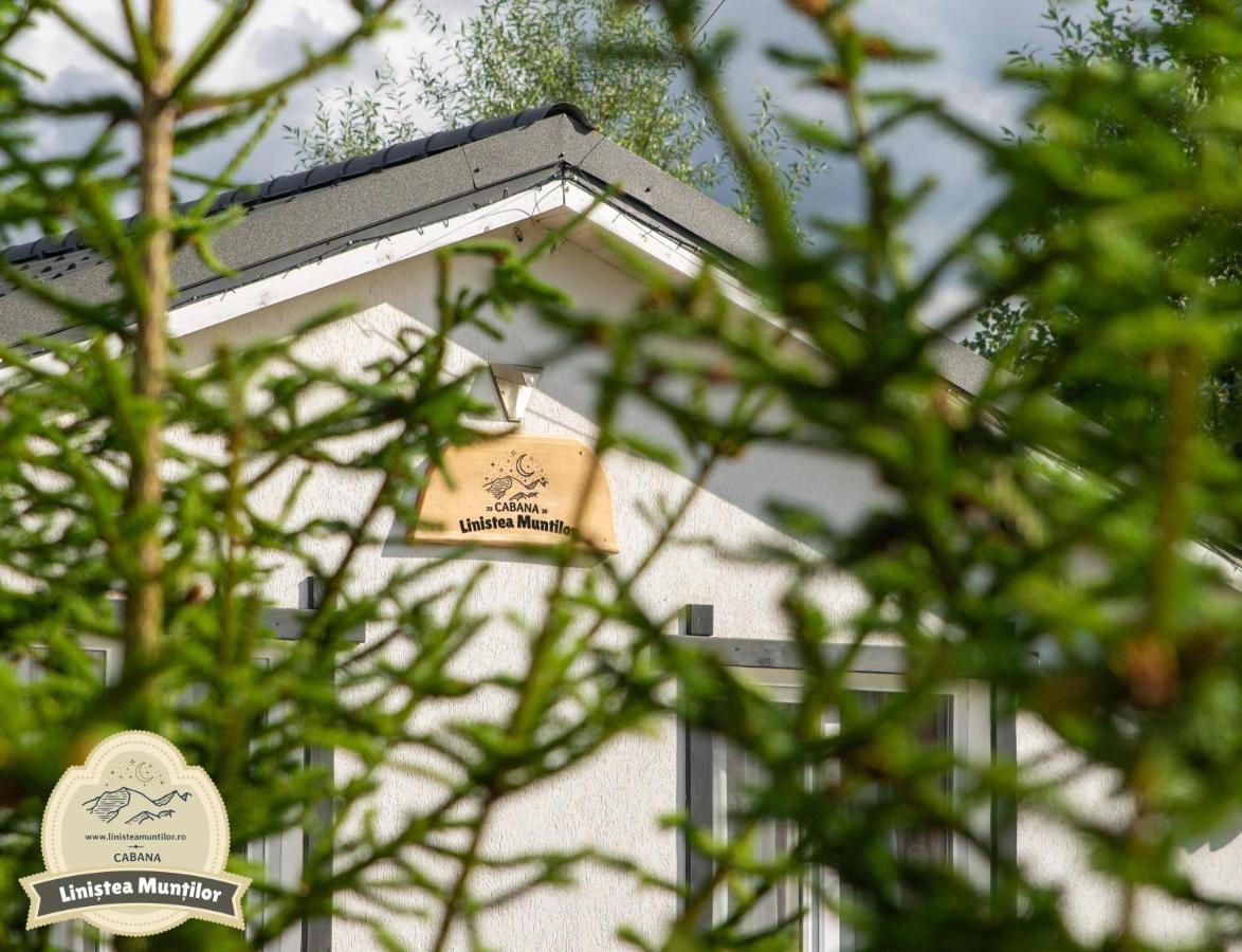 Linistea Muntilor Chalet Porumbacu de Sus Exterior photo