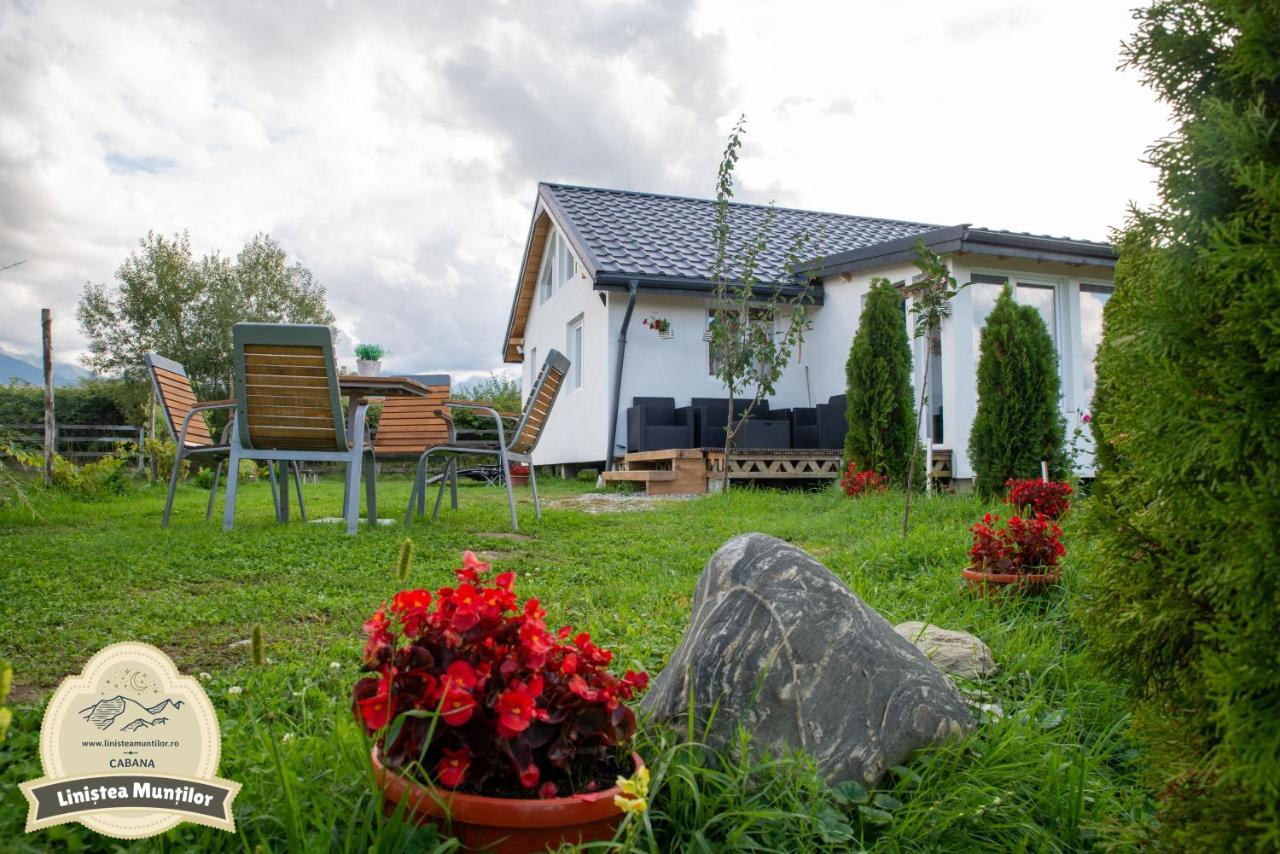 Linistea Muntilor Chalet Porumbacu de Sus Exterior photo